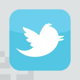 Twitter Bird Icon